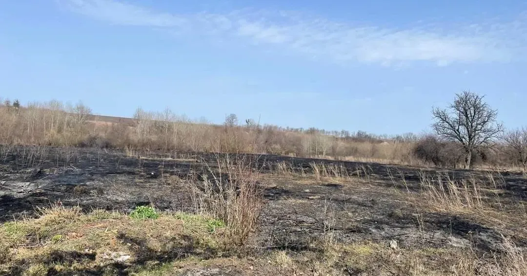 телеграм-каналі Головного управління ДСНС України у Харківській області У Богодухівському районі через випалювання сухої трави загинула жінка на порталі Gromada Group