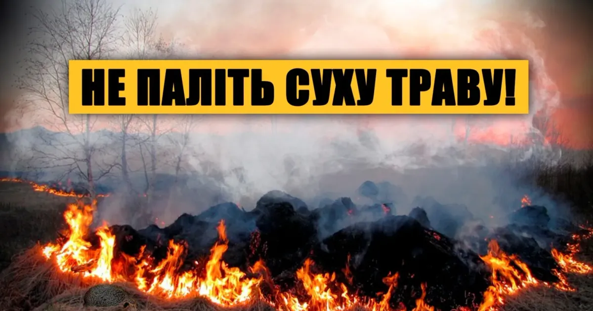 Фото інформативне з відкритих джерел У Богодухівській міській громаді вже виникло 27 пожеж, повʼязаних зі спалюванням сухої рослинності, та виписано 8 штрафів за такі порушення на порталі Gromada Group